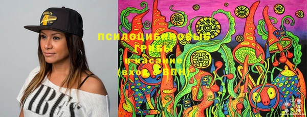бошки Кинешма