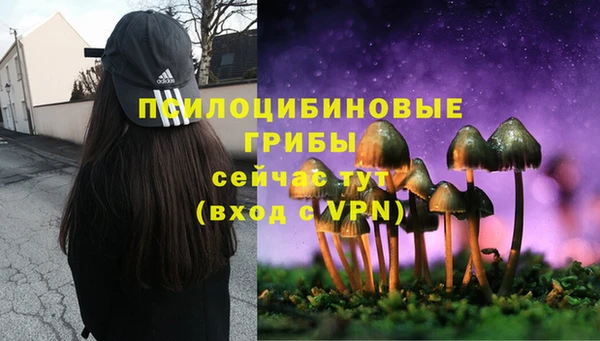 бошки Кинешма