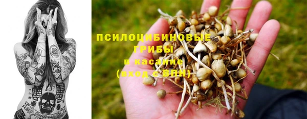 бошки Кинешма